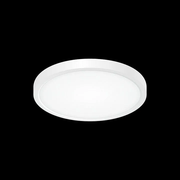 Накладной светильник Citilux Бейсик CL738180V