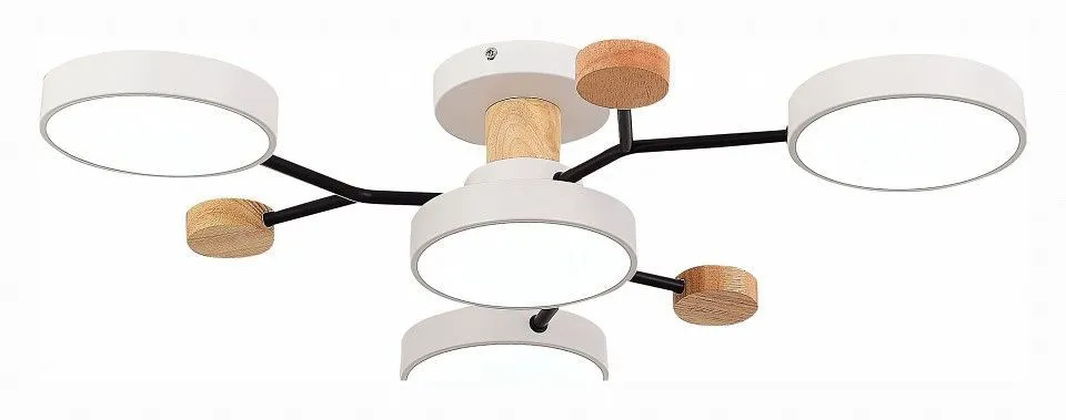 Потолочная люстра EVOLUCE Faema SLE6006-502-04
