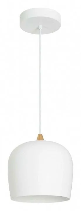 Подвесной светильник Arlight PEONY 39548