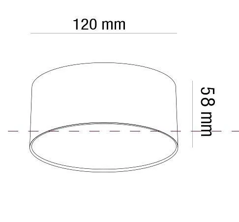 Накладной светильник Maytoni Zon C032CL-L12MG4K