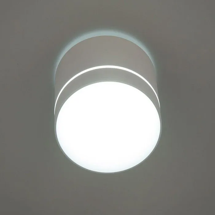 Накладной светильник Citilux Борн CL745020N