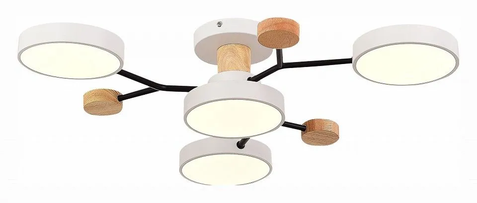 Потолочная люстра EVOLUCE Faema SLE6006-502-04