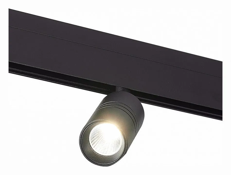 Светильник на штанге ST-Luce Lemmi ST365.436.07