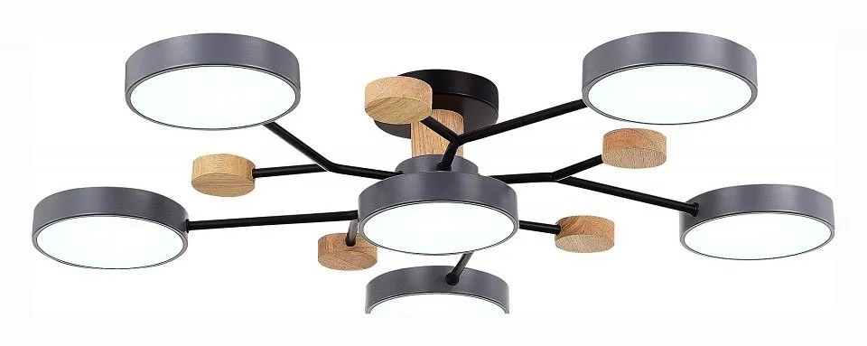Потолочная люстра EVOLUCE Faema SLE6006-702-06