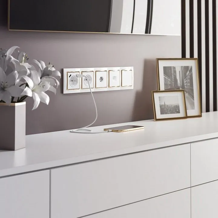 Розетка с заземлением и со шторками и 2хUSB, без рамки Werkel белый W1171501