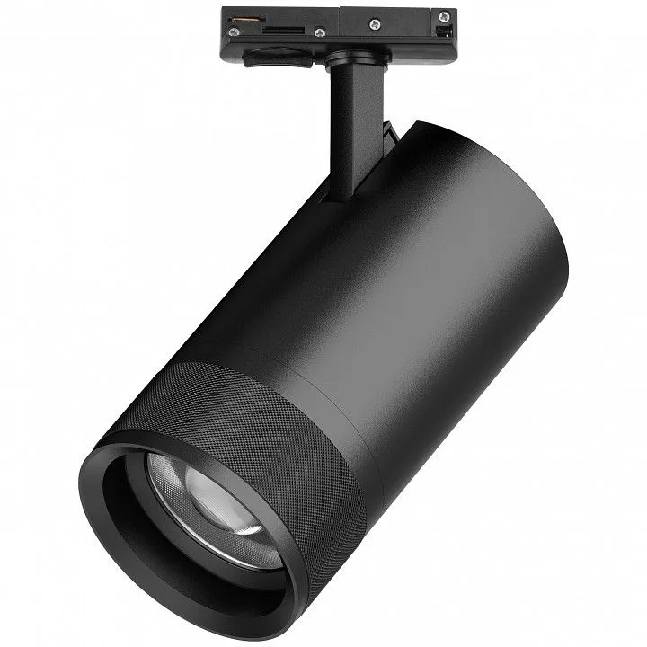 Светильник на штанге Lightstar Canno Pro C4407SS