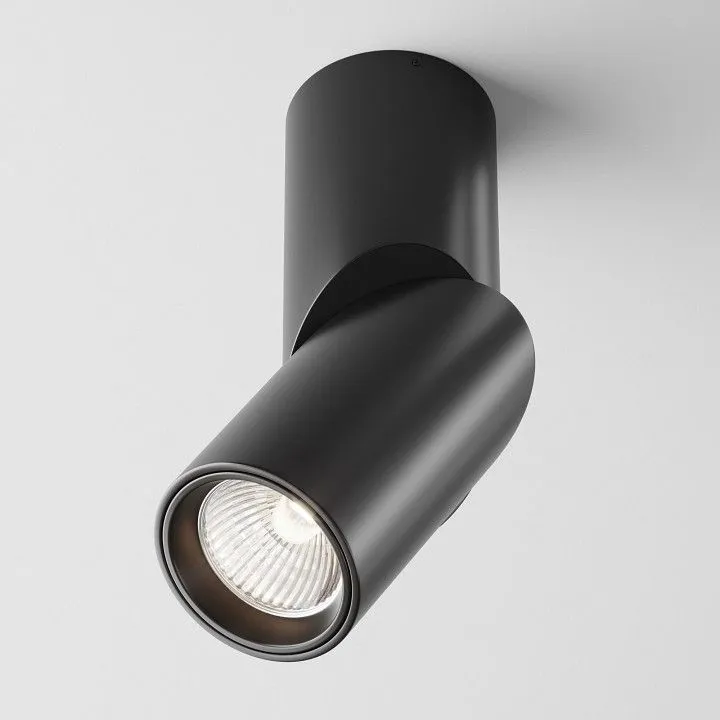 Светильник на штанге Maytoni Technical Дафна C027CL-L10B4K