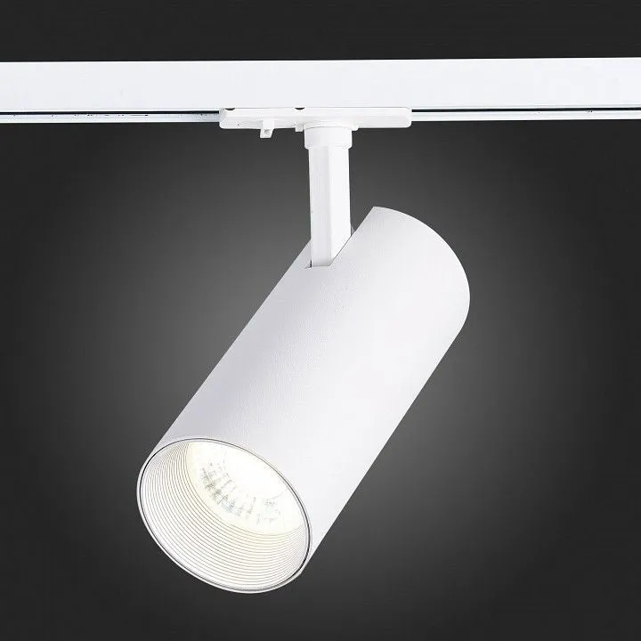 Светильник на штанге ST-Luce Mono ST350.546.30.24