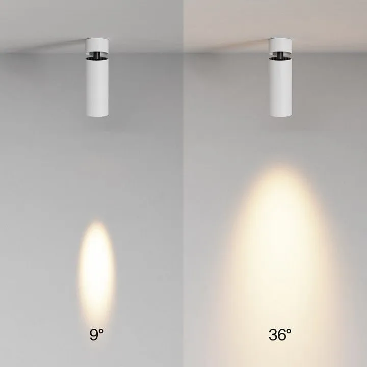 Светильник на штанге Maytoni Technical Фокус C055CL-L12W2.7K-SS-W