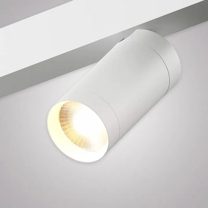 Светильник на штанге AM-Group SMART CYLINDER AM526 WH-220V-10W SMART