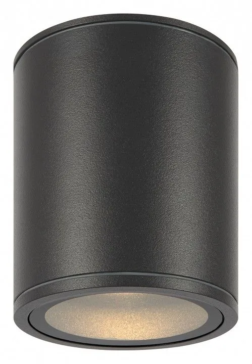 Накладной светильник Maytoni Outdoor Бар O306CL-L12GF