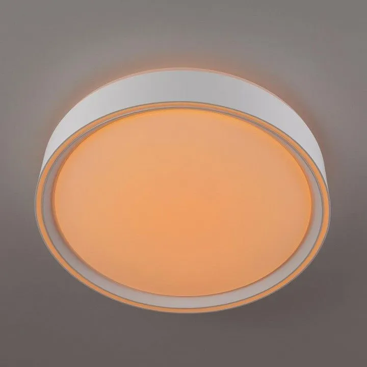 Накладной светильник Citilux BOSS CL751250G