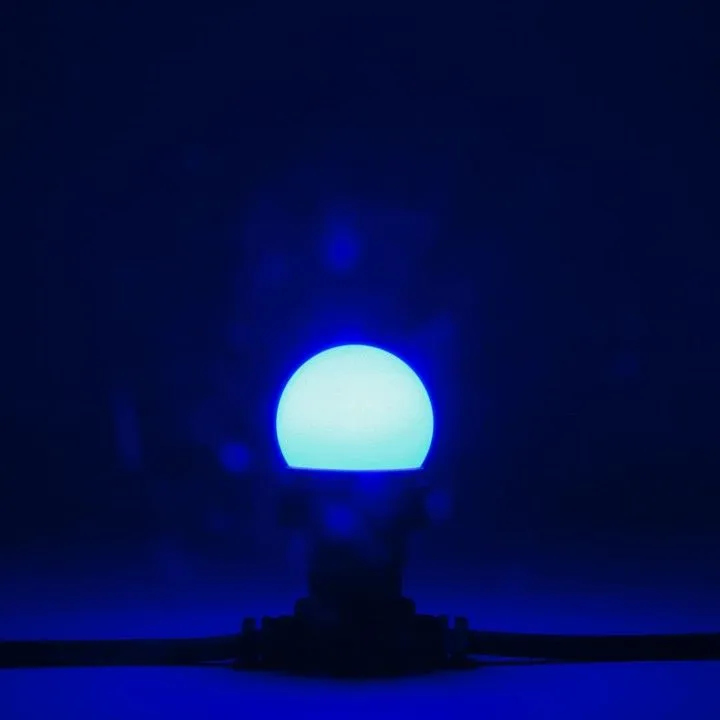 Лампа светодиодная PROFESSIONAL E27 220В 2Вт LAMP1-2B