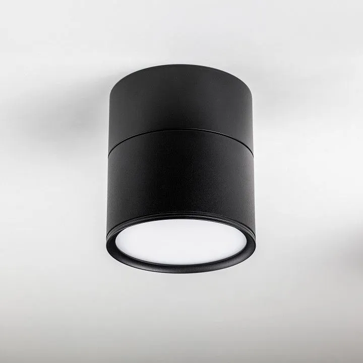 Накладной светильник Lightstar Acuto 215887