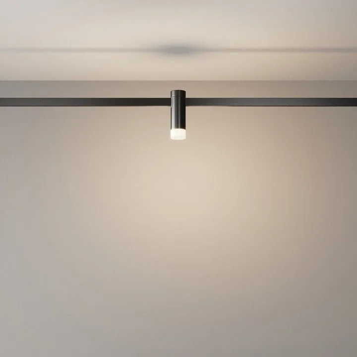 Накладной светильник Maytoni Technical Скольжение TR145-1-3W3K-W-B