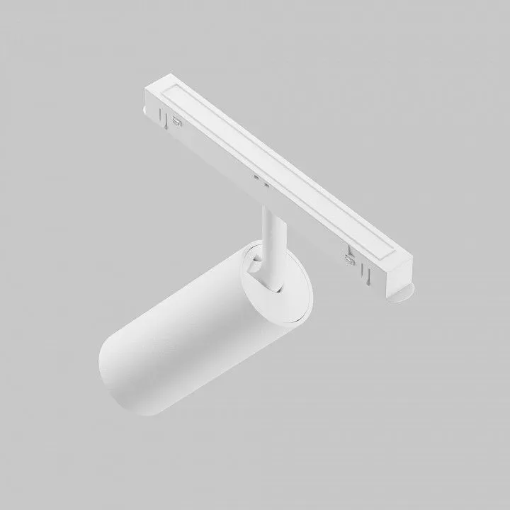 Светильник на штанге Maytoni Technical Фокус TR032-4-12WTW-M-DD2-W