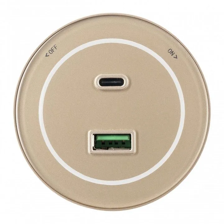 Розетка USB и type C на треке Arte Milano Am-track-sockets-39 399732TS/USB-Type-C Gold