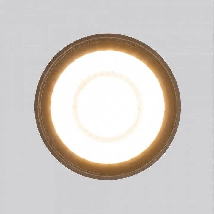 Накладной светильник Elektrostandard Light LED a056231