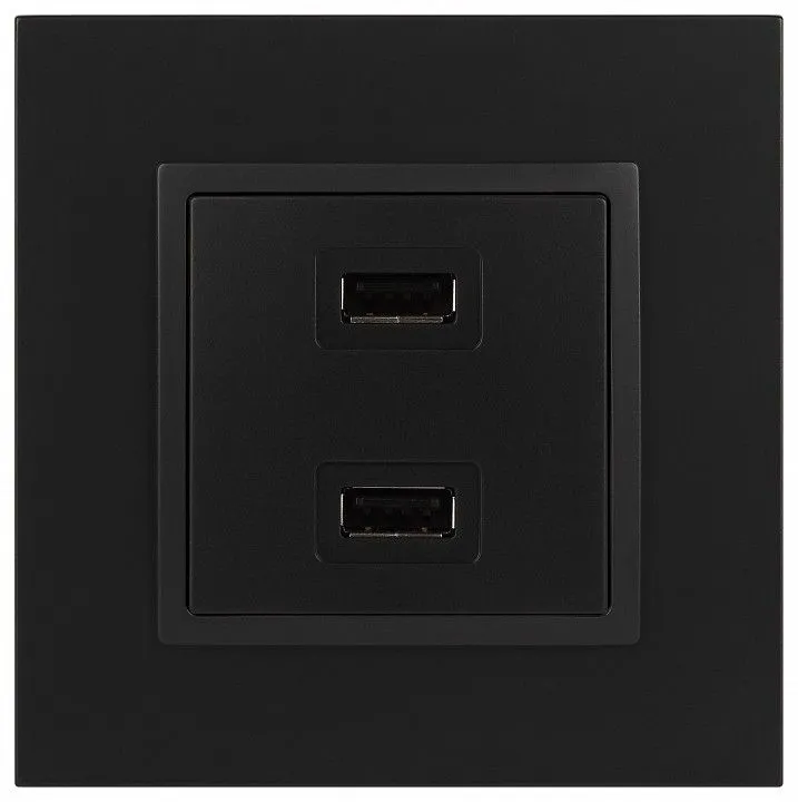 Розетка 2хUSB type A без рамки Эра Эра Elegance 14-4110-05
