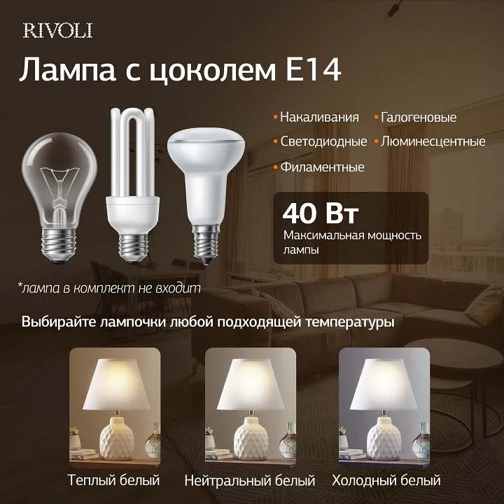 Настольная лампа декоративная Rivoli Muriel 7550-501