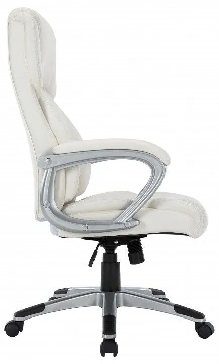 Кресло компьютерное Chairman Chairman CH665 00-07145942, 7145942 Кресло компьютерное Chairman Chairman CH665 00-07145942, 7145942