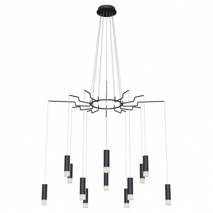 Подвесная люстра Maytoni Давида MOD035PL-12B