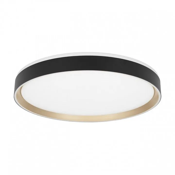 Накладной светильник Citilux BOSS CL751451G