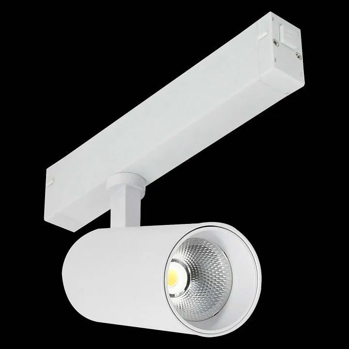 Светильник на штанге ST-Luce ST660 ST660.596.20