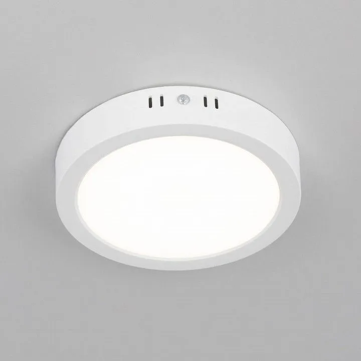 Накладной светильник Citilux Галс CL5516N