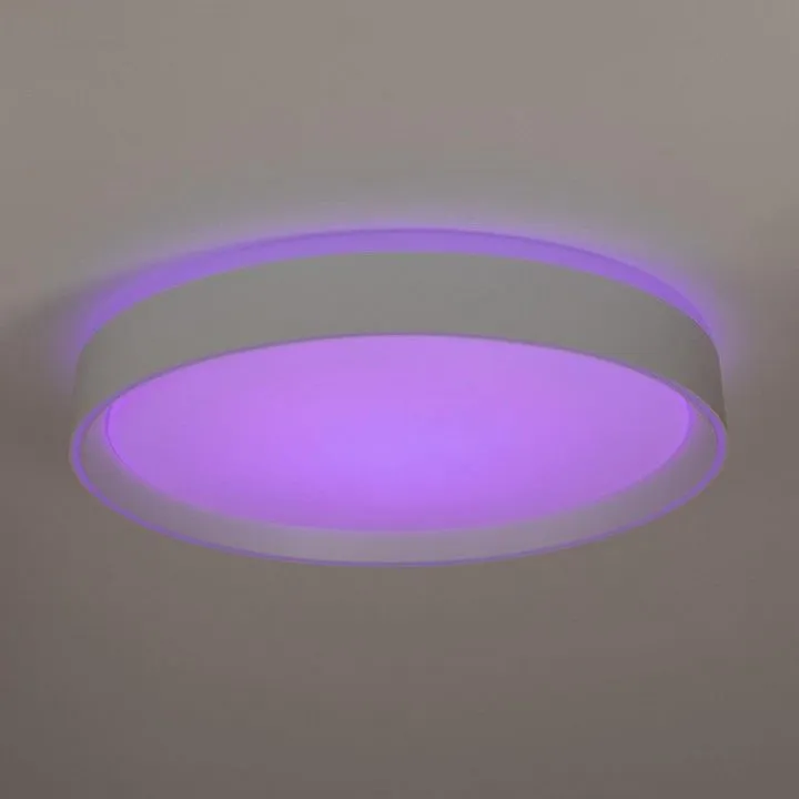 Накладной светильник Citilux BOSS CL751350G