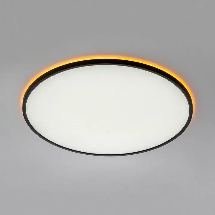 Накладной светильник Citilux NORMA CL749601
