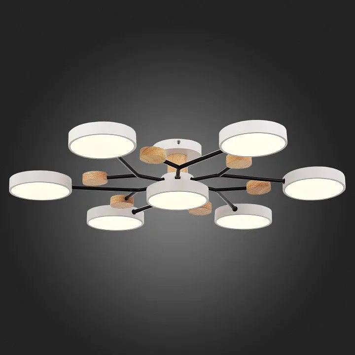 Потолочная люстра EVOLUCE Faema SLE6006-502-07 Потолочная люстра EVOLUCE Faema SLE6006-502-07