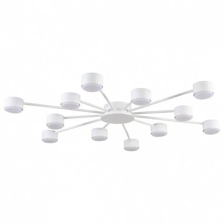 Потолочная люстра Lumion TORINA 8343/12C