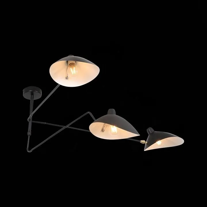 Люстра на штанге ST-Luce Spruzzo SL305.402.03