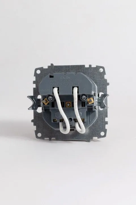 Розетка с заземлением и со шторкой и 2хUSB type A, без рамки Elbi Eleсtriс Zena Vega 609-014800-317