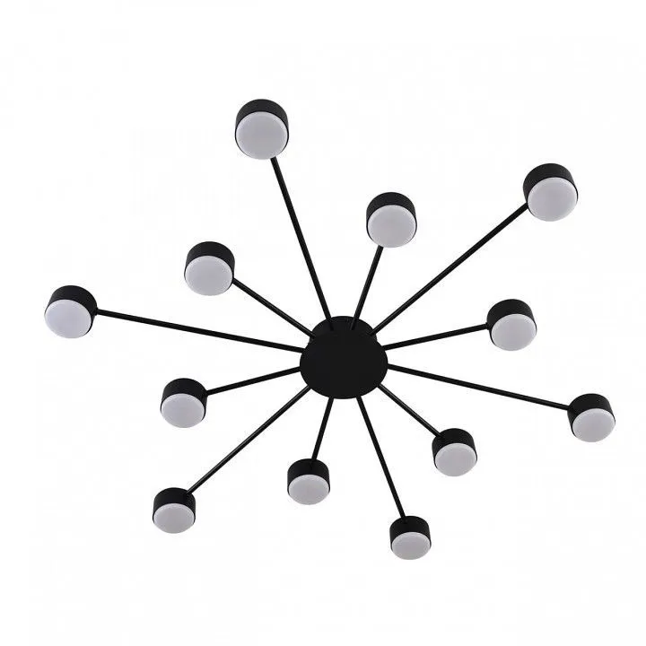 Потолочная люстра Lumion TORINA 8344/12C