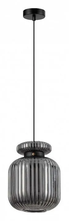 Подвесной светильник Odeon Light Jugi 5042/1B