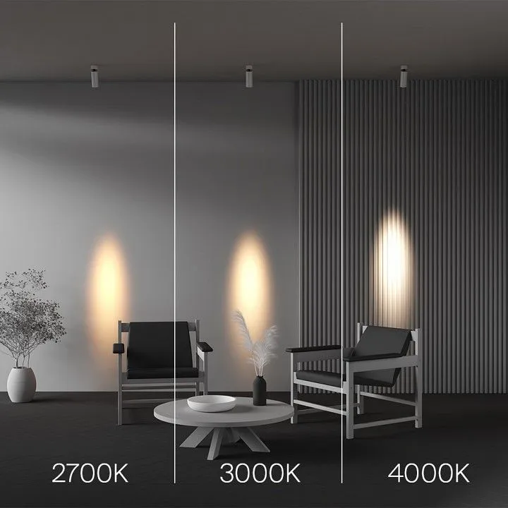 Светильник на штанге Maytoni Technical Фокус C055CL-L12W4K-SS-W
