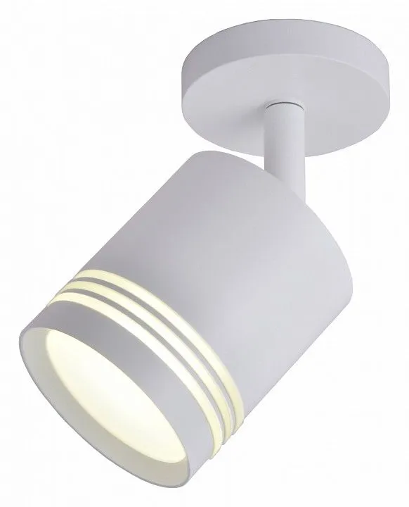 Спот Favourite Darar 3065-1U