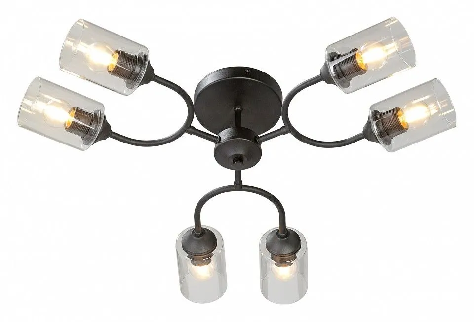 Потолочная люстра Vitaluce V2822 V2822-1/6PL