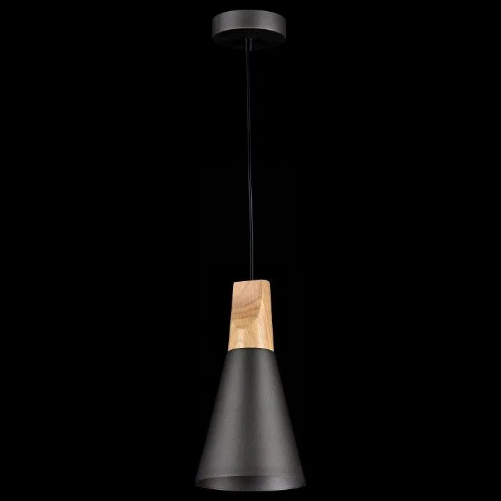 Подвесной светильник Maytoni Биконес P359-PL-140-C