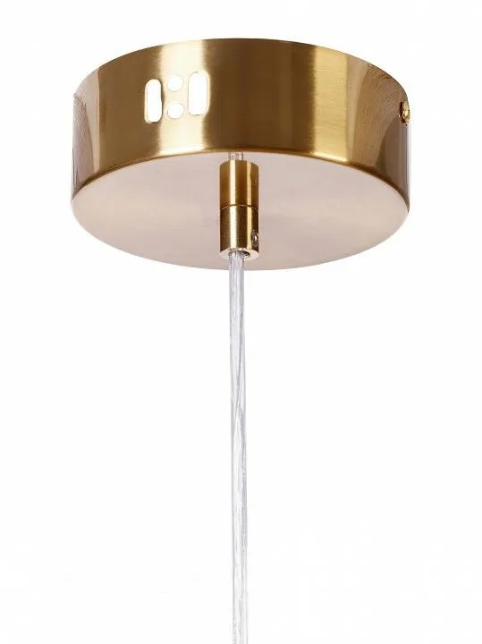 Подвесной светильник MyFar Charlie MR2130-1PL Подвесной светильник MyFar Charlie MR2130-1PL