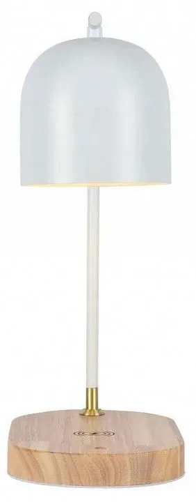 Настольная лампа офисная Zortes DESKLIGHT ZRS.1066.02