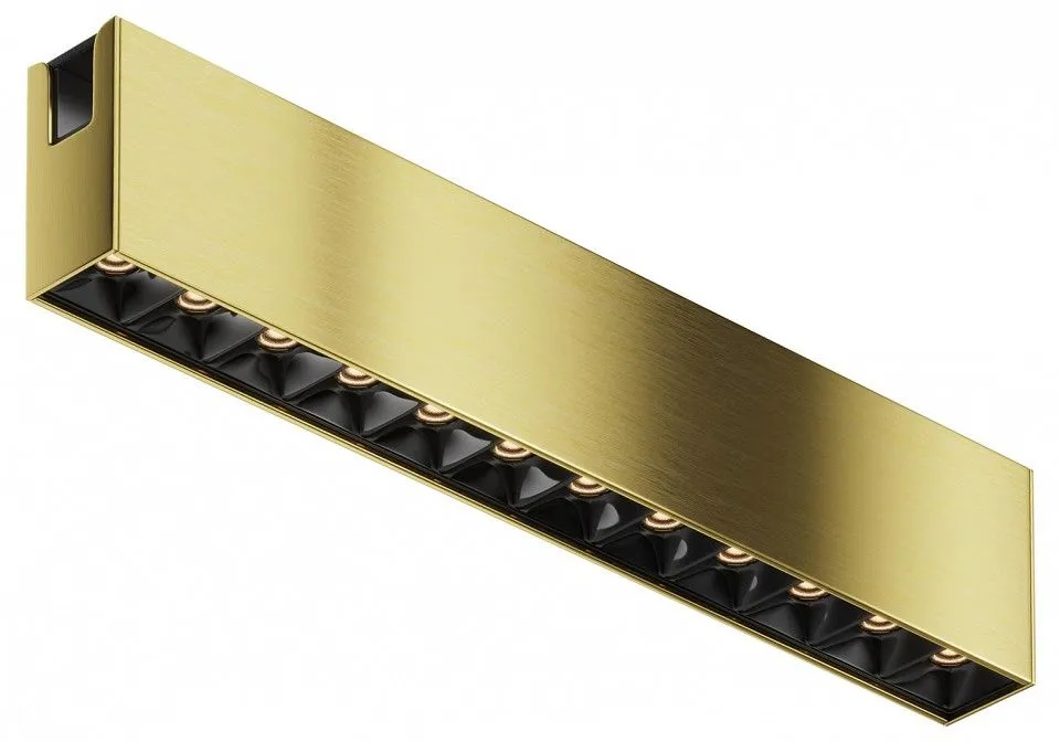 Накладной светильник Maytoni Technical Точки TR150-1-12W3K-M-BS