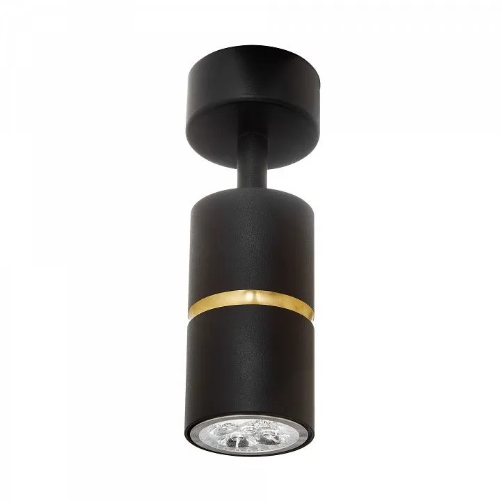 Спот Lampit ASTI TS TK40-C1 BK+GD