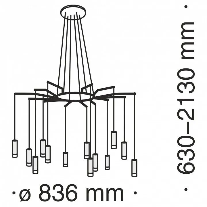 Подвесная люстра Maytoni Давида MOD035PL-12B