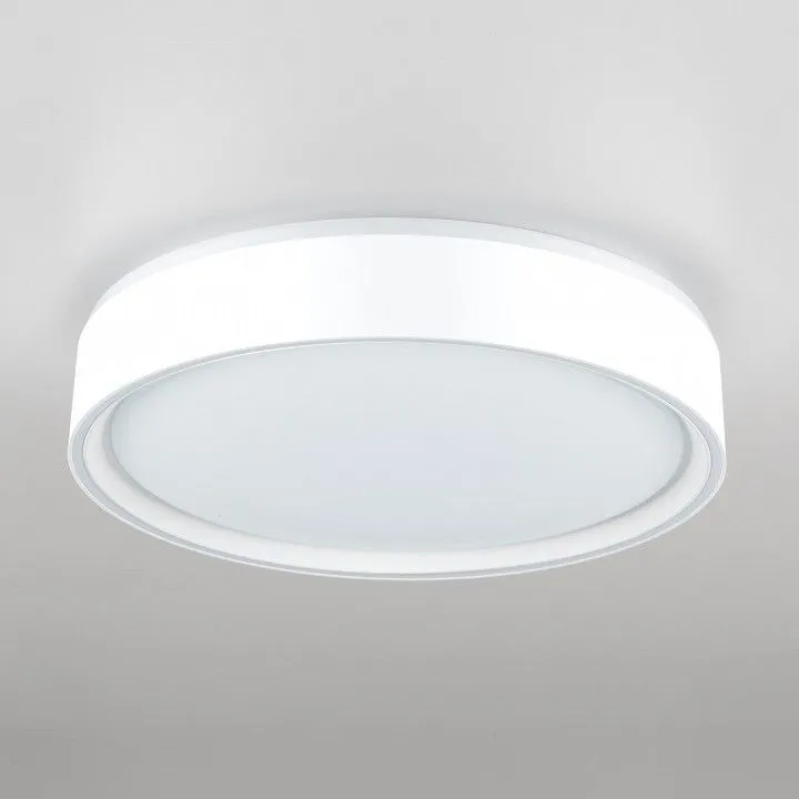 Накладной светильник Citilux BOSS CL751250G