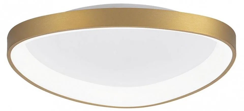 Накладной светильник Citilux GENKA SMART CL756A142