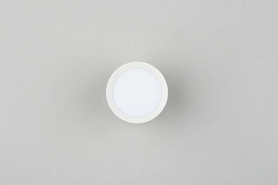 Накладной светильник Omnilux Capurso OML-102429-05
