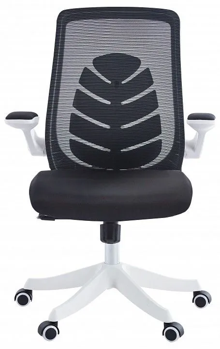 Кресло компьютерное Chairman Chairman CH565 00-07146048, 7146048 Кресло компьютерное Chairman Chairman CH565 00-07146048, 7146048